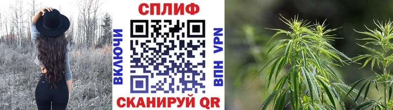 Марихуана гибрид  блэк спрут tor  Подпорожье  хочу наркоту 